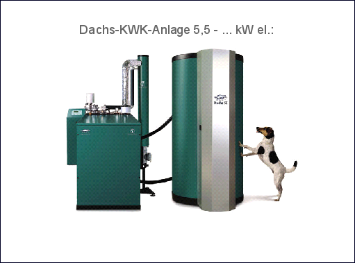 SenerTec BHKW